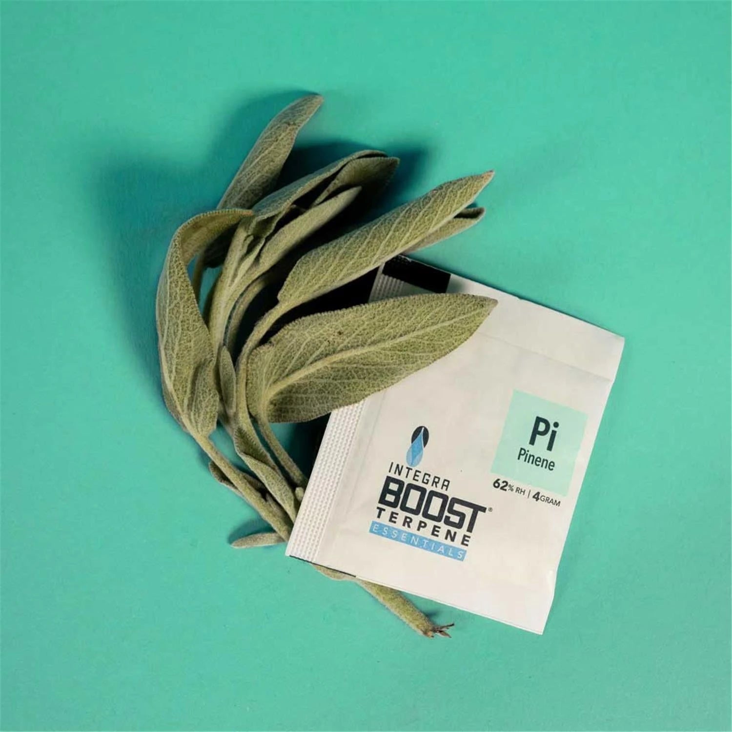 Integra Boost Terpene Essentials Pinene Pi 62% RH 4g Feuchtigkeitspad auf Salbei-Zweigen, türkiser Hintergrund