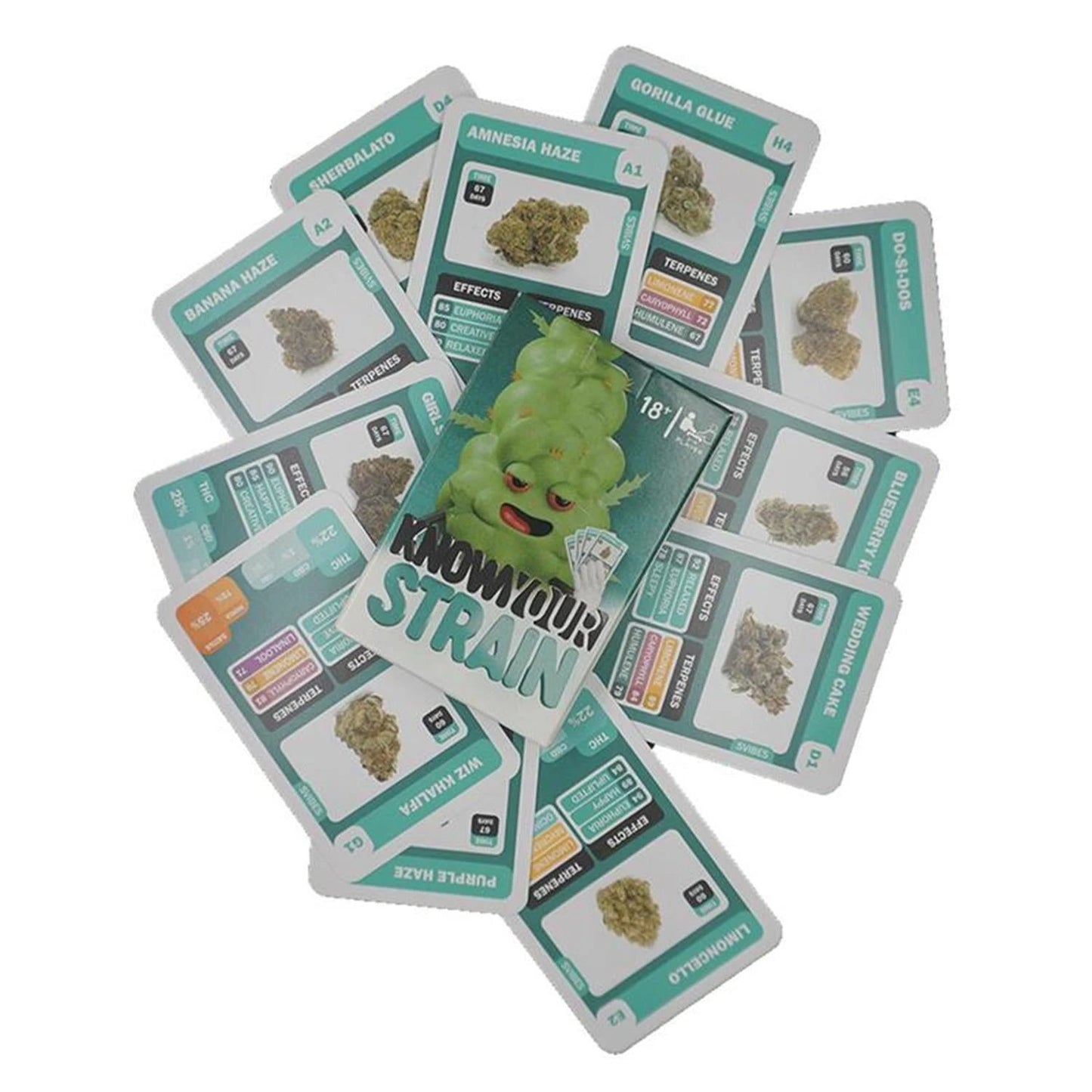 Know Your Strain Kartenspiel, aufgefächerte Spielkarten mit Cannabis-Strain-Namen wie Amnesia Haze, Gorilla Glue, Wedding Cake und Banana Haze, türkis-weißes Design mit THC-, Terpene- und Effekt-Angaben, weißer Hintergrund