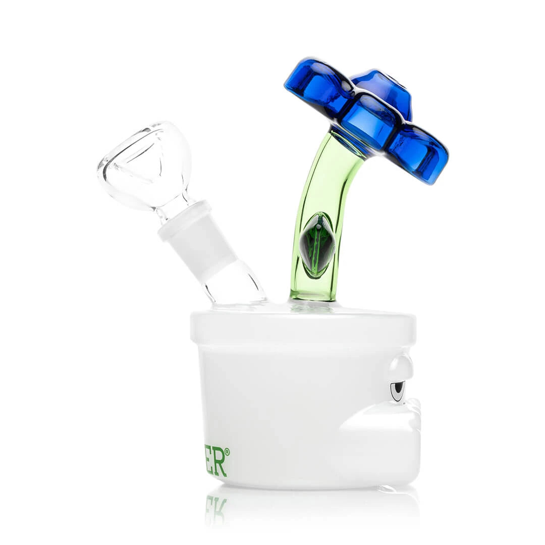 Hemper Bloom Bong Hemper