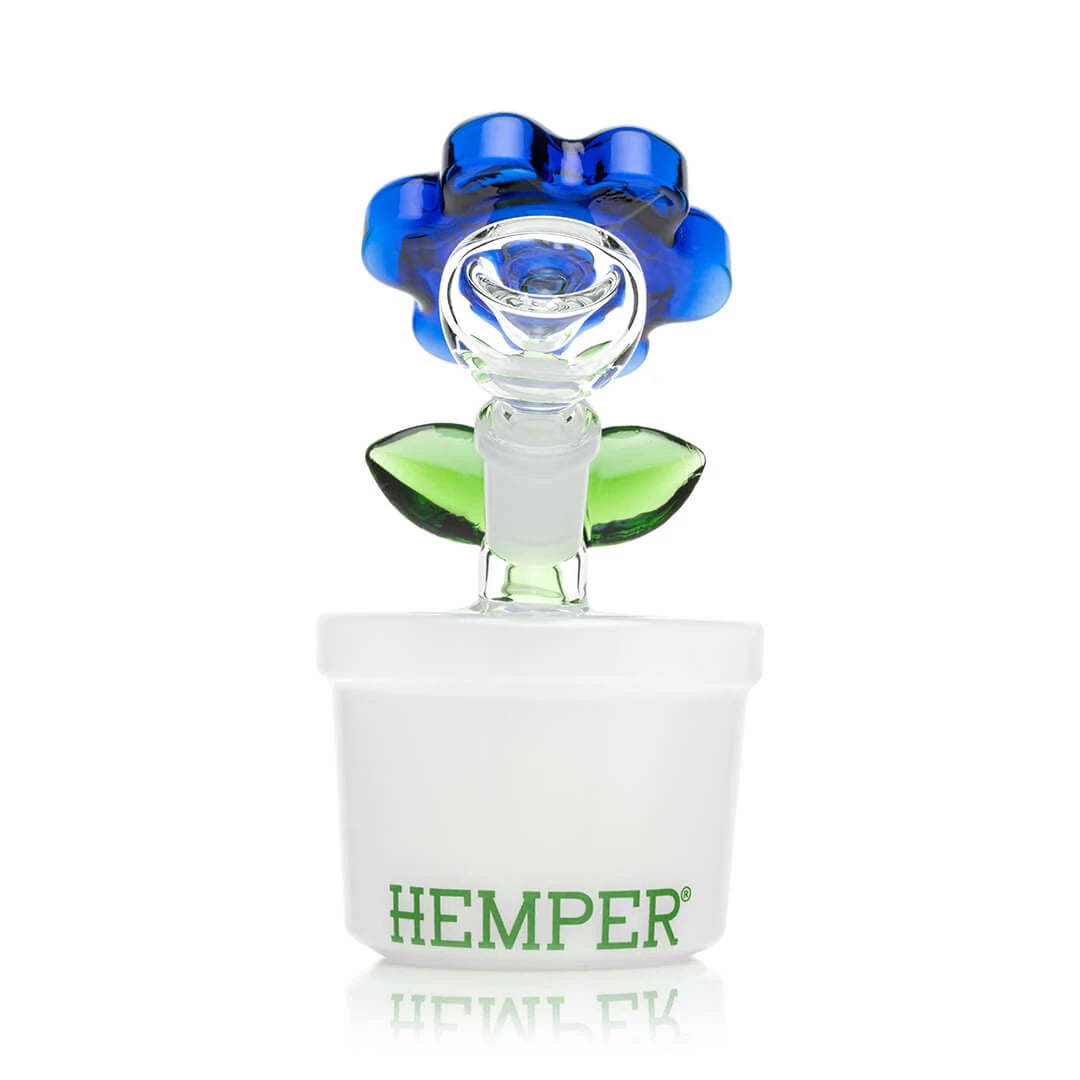Hemper Bloom Bong Hemper