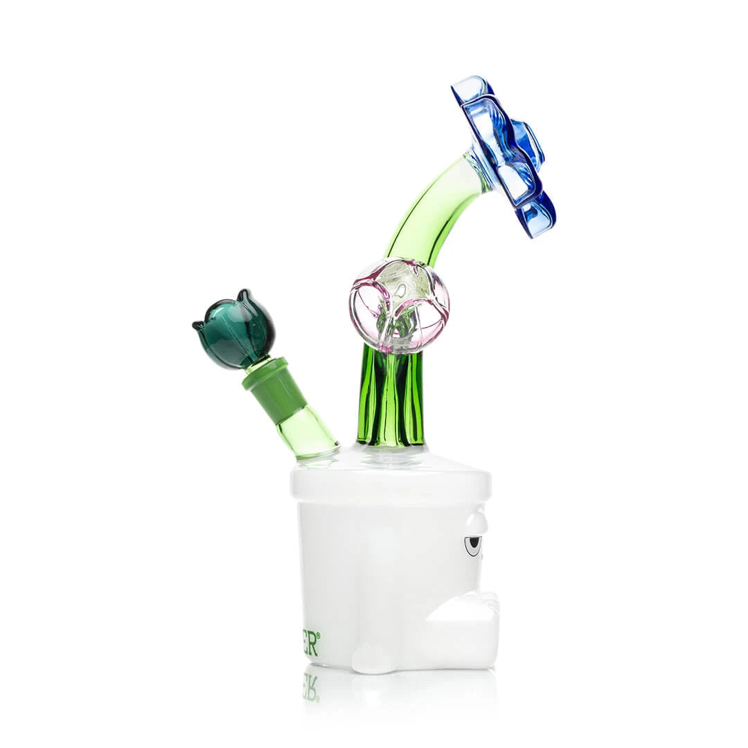 Hemper Bloom XL Bong Hemper