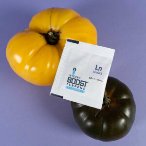 Integra Boost Terpene Linalool Li 62% 4g